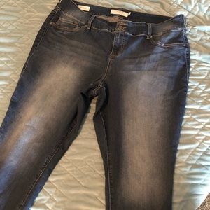 Torrid Skinny Jeans